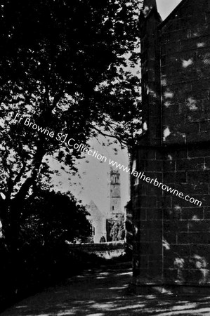 QUINN ABBEY  THE TOWER FROM PARISH CHURCH